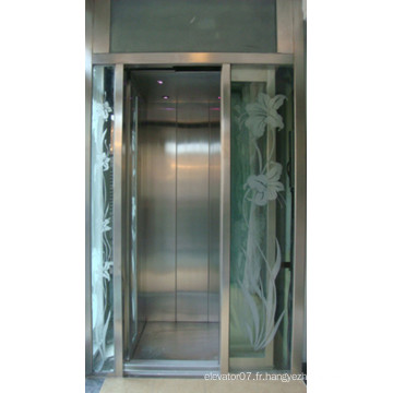 Fjzy-Haute Qualité et Sécurité Maison Ascenseur Fjs-1615